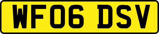 WF06DSV