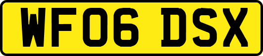 WF06DSX