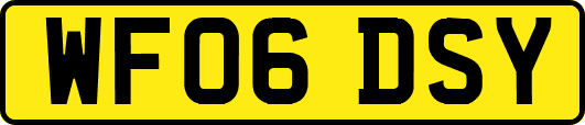 WF06DSY