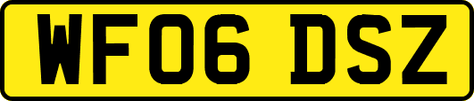 WF06DSZ