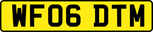 WF06DTM