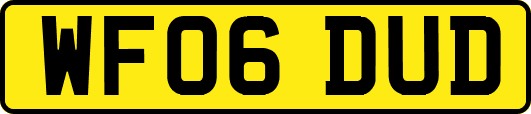 WF06DUD