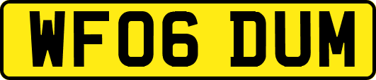 WF06DUM