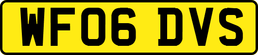 WF06DVS