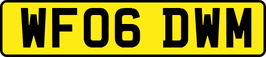 WF06DWM