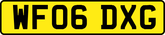 WF06DXG