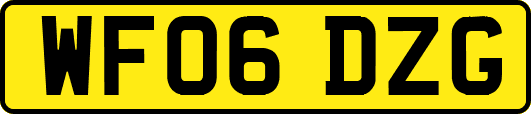 WF06DZG