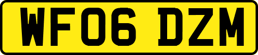 WF06DZM