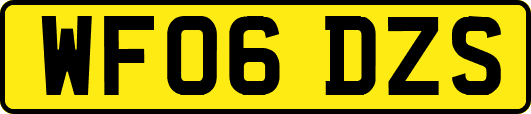 WF06DZS