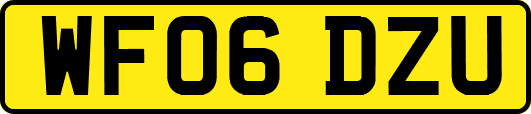 WF06DZU