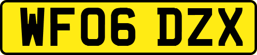 WF06DZX