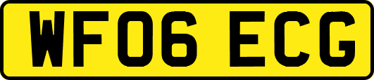WF06ECG