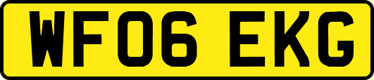 WF06EKG