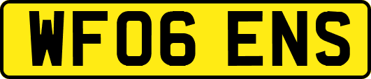 WF06ENS