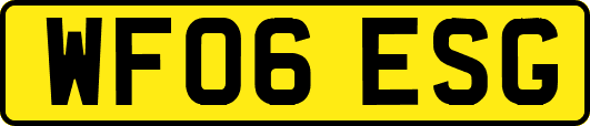 WF06ESG