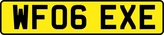 WF06EXE