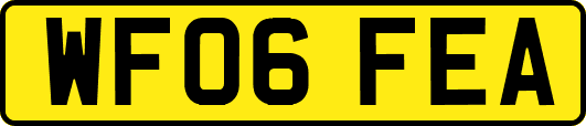 WF06FEA