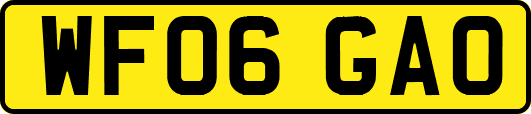 WF06GAO