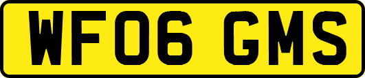 WF06GMS