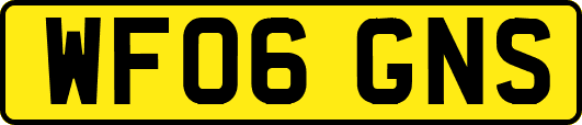 WF06GNS