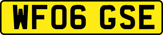 WF06GSE