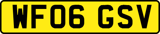 WF06GSV