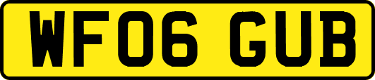 WF06GUB