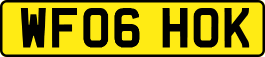 WF06HOK