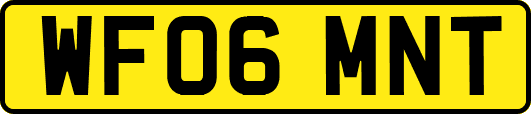 WF06MNT