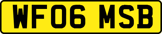WF06MSB