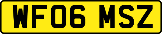 WF06MSZ