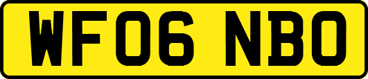 WF06NBO