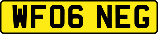 WF06NEG