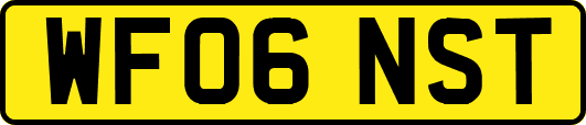 WF06NST