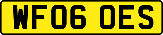 WF06OES