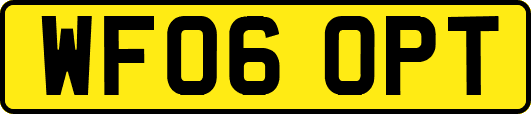 WF06OPT