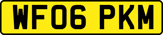 WF06PKM