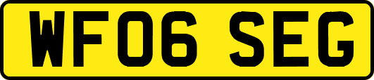 WF06SEG