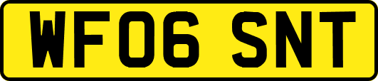 WF06SNT