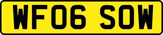 WF06SOW