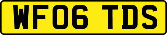 WF06TDS