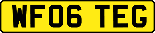 WF06TEG