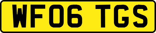 WF06TGS