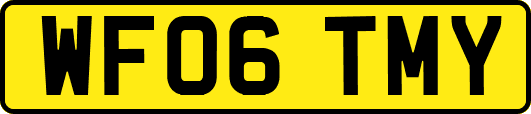 WF06TMY