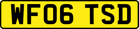 WF06TSD