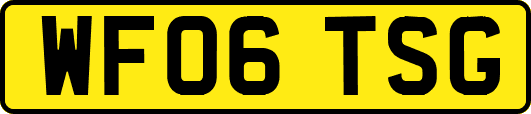 WF06TSG