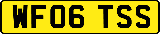WF06TSS