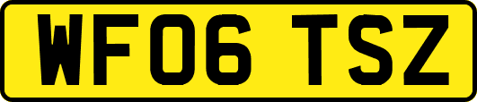 WF06TSZ