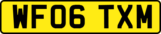 WF06TXM