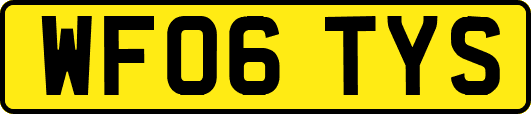 WF06TYS